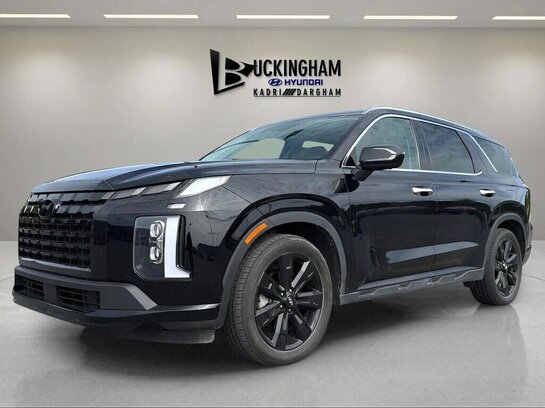 Hyundai Palisade 2023 2023 Noir