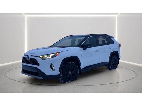 2023 Toyota RAV4 2023 Silver